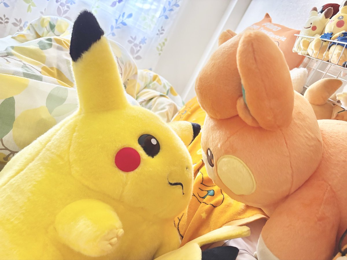 ast_srzm_2's tweet photo. ウッ…おはパモしたら世界一尊い光景が…😢✨✨

等身大ちゃん2匹で何のお話してるのかな…？😢地面タイプを倒す方法とか？😢 https://t.co/sY6z4yjUf5