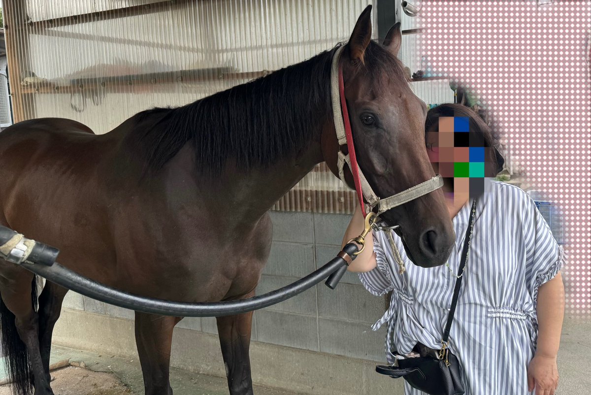 micchuruko's tweet photo. ミノリチャン応援📣隊通信
オーナーさんのご厚意で、ミノリチャン達に会う事が叶いました😭感動🥺
ミノリチャンは元気で、いっぱいナデナデさせてもらいました。
ミノリクンは誰？というくらい大きくなって、雰囲気が中学生から急に大学生になっ��かのように、立派な体でした。 https://t.co/hRWwipt4du