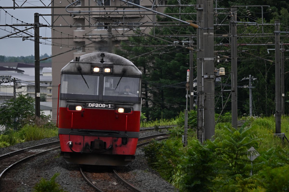 Niko50Cano8000's tweet photo. 甲種輸送
DF200-1 + DD200-501
人生で初めての甲種輸送を見ました
トプナン同士でおもしろかったです
実物を見ると意外とかっこいいな https://t.co/ygJEZVzkq0