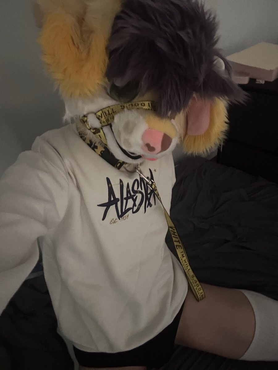 figsthedog's tweet photo. some more photos from a previous photo pool mrow :3c 

#furry #femboy #fursuit https://t.co/MeLXA6mNPa