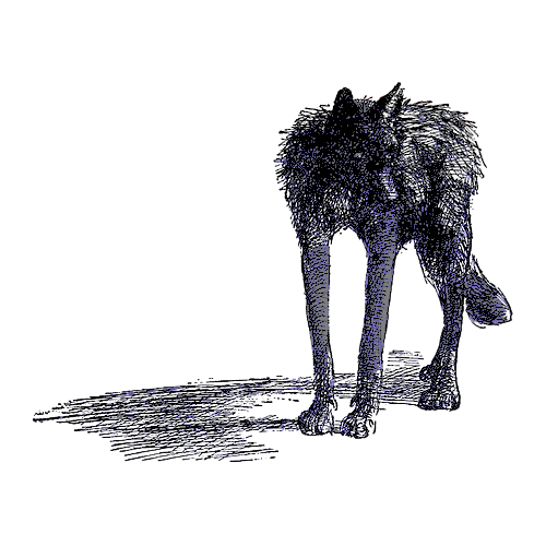 BVCKSH0T's tweet photo. https://t.co/dok0NG3YPs