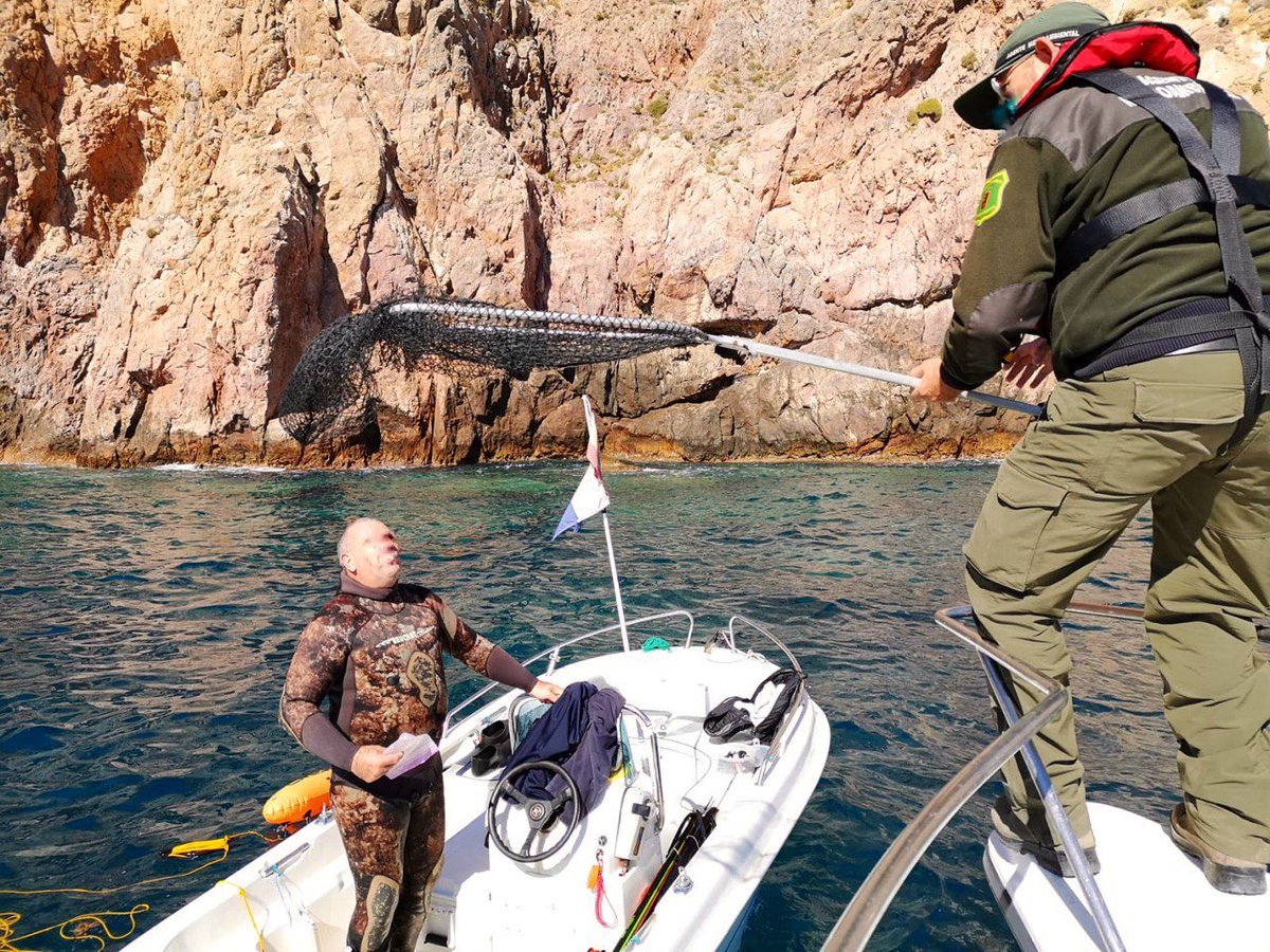 AEAFMA's tweet photo. Por tierra, mar y aire: proteger la naturaleza es nuestra misión.

En el #WorldRangerDay honramos la memoria de los compañeros que perdieron la vida en acto de servicio, y agradecemos la entrega diaria de l@s #AgentesMedioambientales en activo y jubilados.
https://t.co/bfI51pzLBP https://t.co/oNsdprklRT