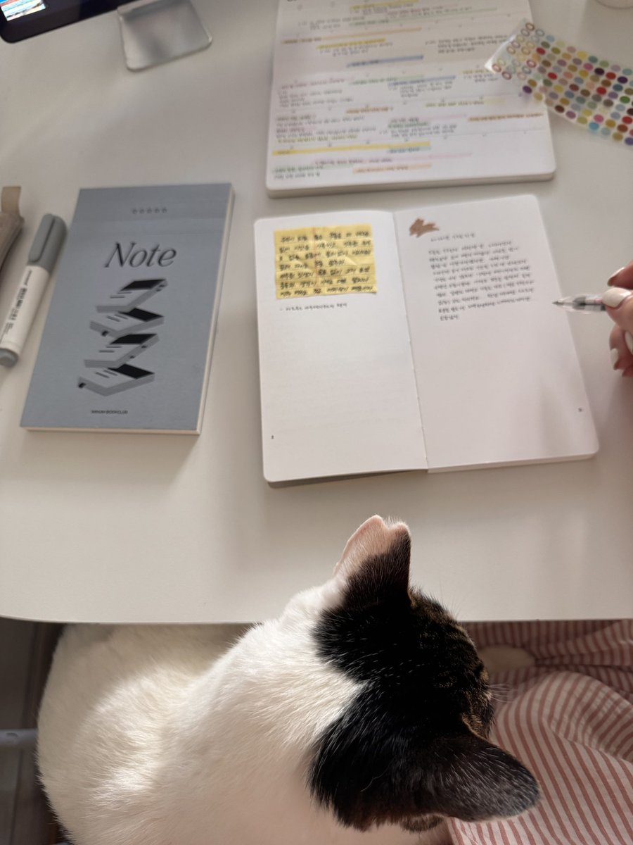 keepwriting_and's tweet photo. 오늘도. 모닝페이지 쓰고 독서하고 필사하고. 나를 단단히 혹은 날카롭게 벼리는 시간. 어제 카페에서 받은 메모를 모닝페이지 노트에 붙였다. 껌딱지 찐이 때문에 새벽부터 더웠다고… 오늘 다들 시원한 하루 보내세요 ♡ https://t.co/qOcGQT4XyP