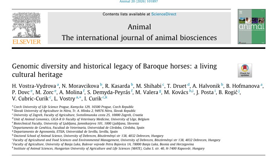CitogenomicsLAB's tweet photo. 1/6 🧬🐴 New paper out!

Baroque horses are iconic breeds with centuries of history linked to European culture and equestrian traditions.

But what can their genomes reveal about their origins, diversity, and conservation?

📄 Animal
DOI: 10.1016/j.animal.2026.101897 https://t.co/x1WmS9XIEo