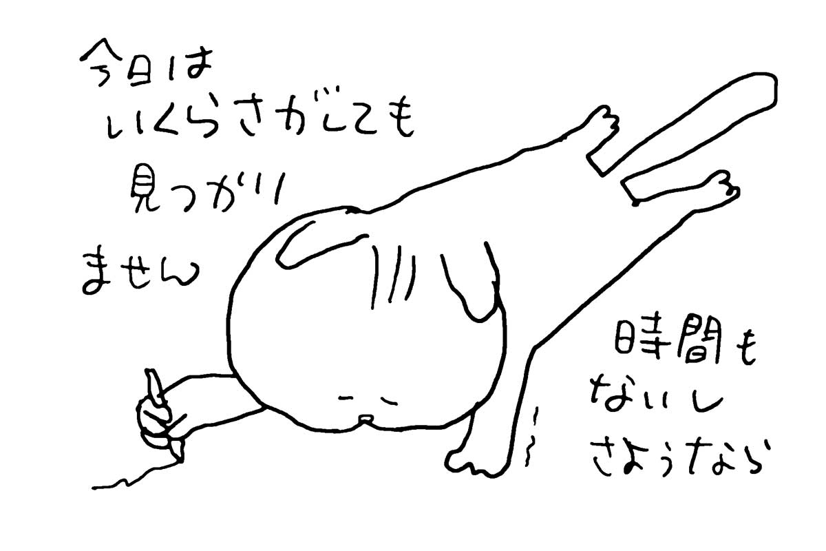 oasisnora's tweet photo. 今朝は何も見つからない・・・かすりもしないし時間もないのでここでさようなら https://t.co/FYqMzxMqP4
