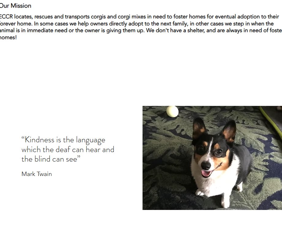 OhGeesyNFA's tweet photo. Corgi named "Elon" is going viral on TikTok and HE LITERALLY HAS A CHARITY IN HIS BIO    

He's the founder of ECCR, donating fees   

THIS IS A GIGA NARRATIVE?  CUTE DOG NAMED ELON + CHARITY ON NATIONAL CORGI DAY!

https://t.co/tah40BhQoO
https://t.co/Jdxbzh7gYQ https://t.co/qNBOUbYR9R
