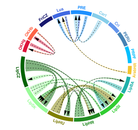 CitogenomicsLAB's tweet photo. 5/6 🌱🧬

Genomics helps preserve these breeds by:

🔹 Monitoring diversity
🔹 Managing inbreeding
🔹 Protecting genetic heritage https://t.co/Q8iwnpmDzo
