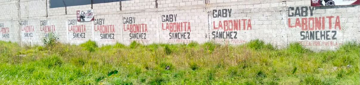 jorgegogdl's tweet photo. En Puebla Gaby “La bonita” Sánchez está atascando con publicidad ilegal las calles ante la complacencia del INE https://t.co/onVmkXcbOB