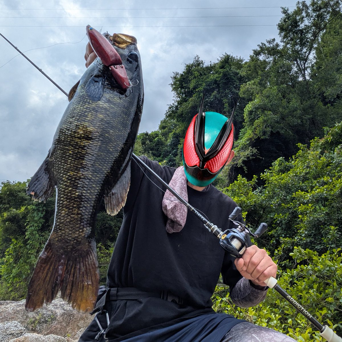ikatamu's tweet photo. KLASHSPでの川スモールに自作ルアー縛り🎣
赤いパドックを投げて狙ってたら💥
50cmの綺麗な模様のスモールでした🙌

ADDiCTiON  #KLASHSP 
#パドック 赤い木 
140mm 2.1oz
ビッグベイト #ジョイントベイト 
#自作ルアー ルアー制作 Woodlure 
ハンドメイドルアー  handmadelure 
#スモールマウスバス https://t.co/gpasEaZdIh