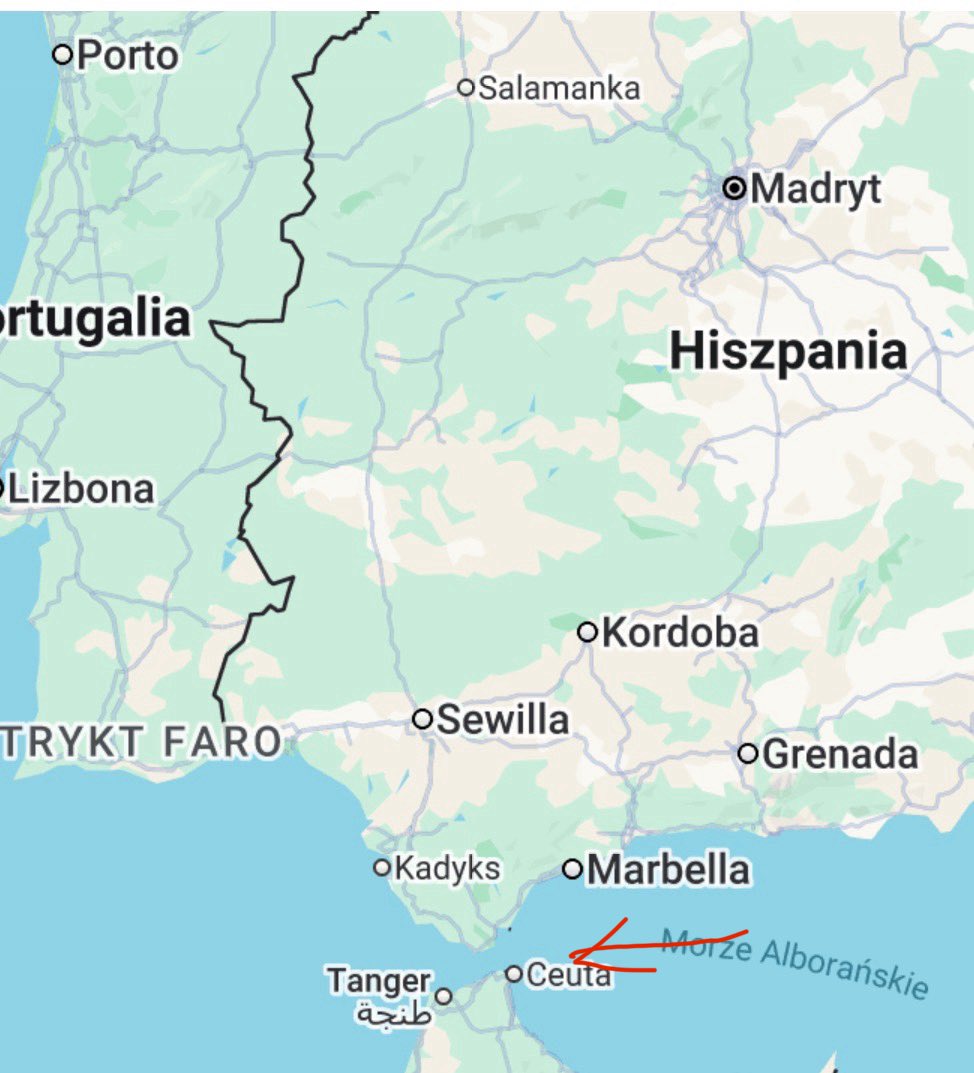 Metakognita tweet media