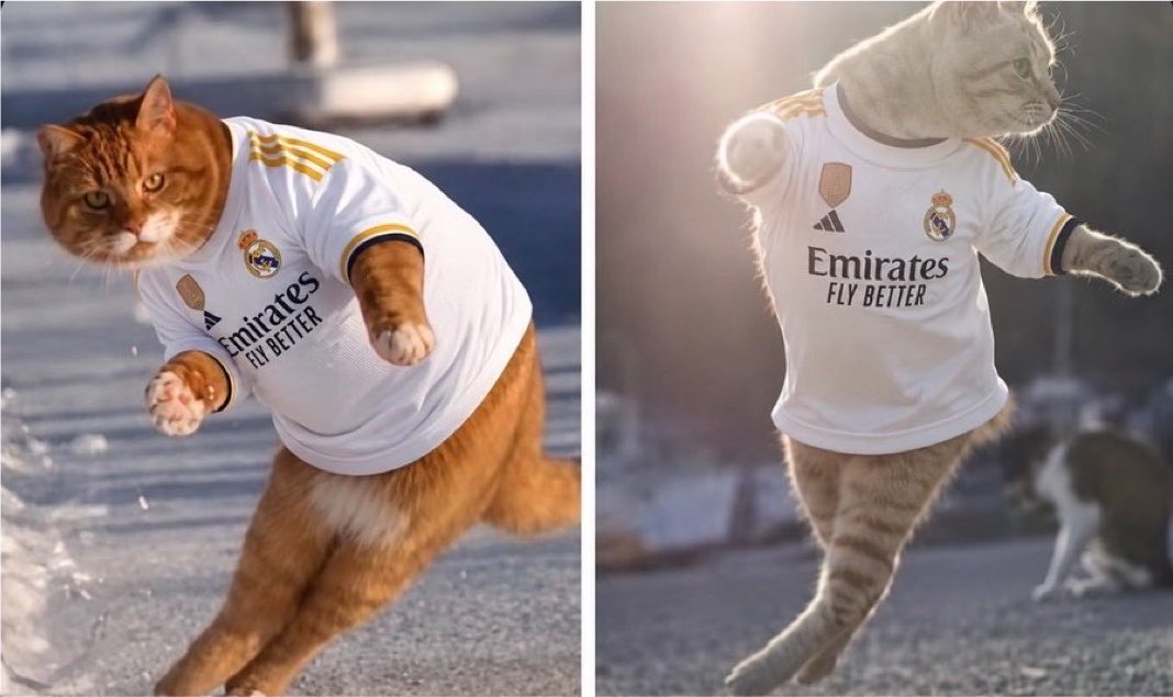 JustFTBLinnit's tweet photo. Madrid finally have a striker with aerial presence 

Trent’s cross                          Carlos Espi https://t.co/1jEtqMCPB3