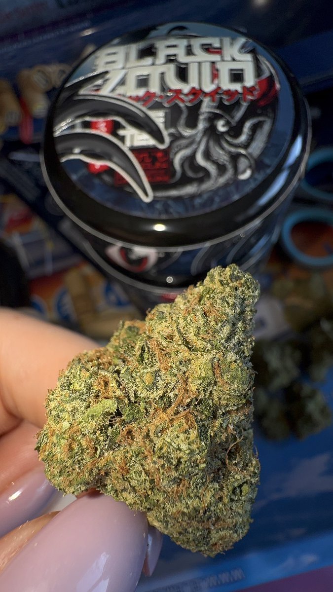 goodluck4ever's tweet photo. Get top-shelf exotic weed premium buds, plus a wide range of weed vape, disposable carts, edibles, hash, rosins, and pre-rolls. Active plug available in" Reykjavik, Dublin, Amsterdam, Copenhagen, Stockholm, Oslo, Helsinki, Warsaw, Prague, Vienna, Budapest, Zurich, Berlin, Madrid https://t.co/j6YmE0cTMC