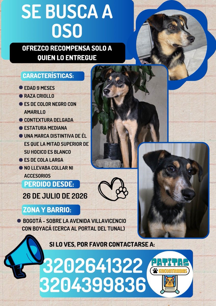 PasaenBogota's tweet photo. #BOGOTÁ. Servicio Social. Perrito perdido en la localidad de Ciudad Bolívar. Por favor #difundir cualquier información que tengas comunícate a los siguientes números 3202641322 o 3204399836. Muchas gracias. https://t.co/HITHcvm7Ez