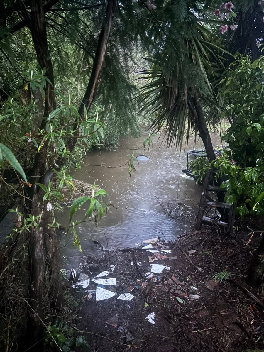 Sandrajco's tweet photo. @biobio Araucanía agua llegando a las casa https://t.co/8fM2mVK53O