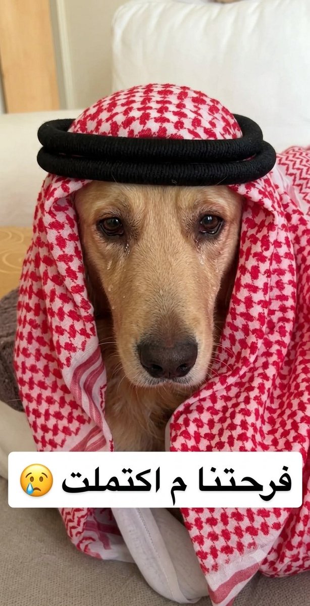 M0r7j's tweet photo. @amrmmmansour https://t.co/dDvCpIGsLd