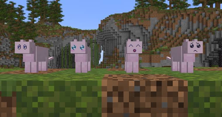 grossb0y's tweet photo. go my pienlings https://t.co/arZ5wnHSuc