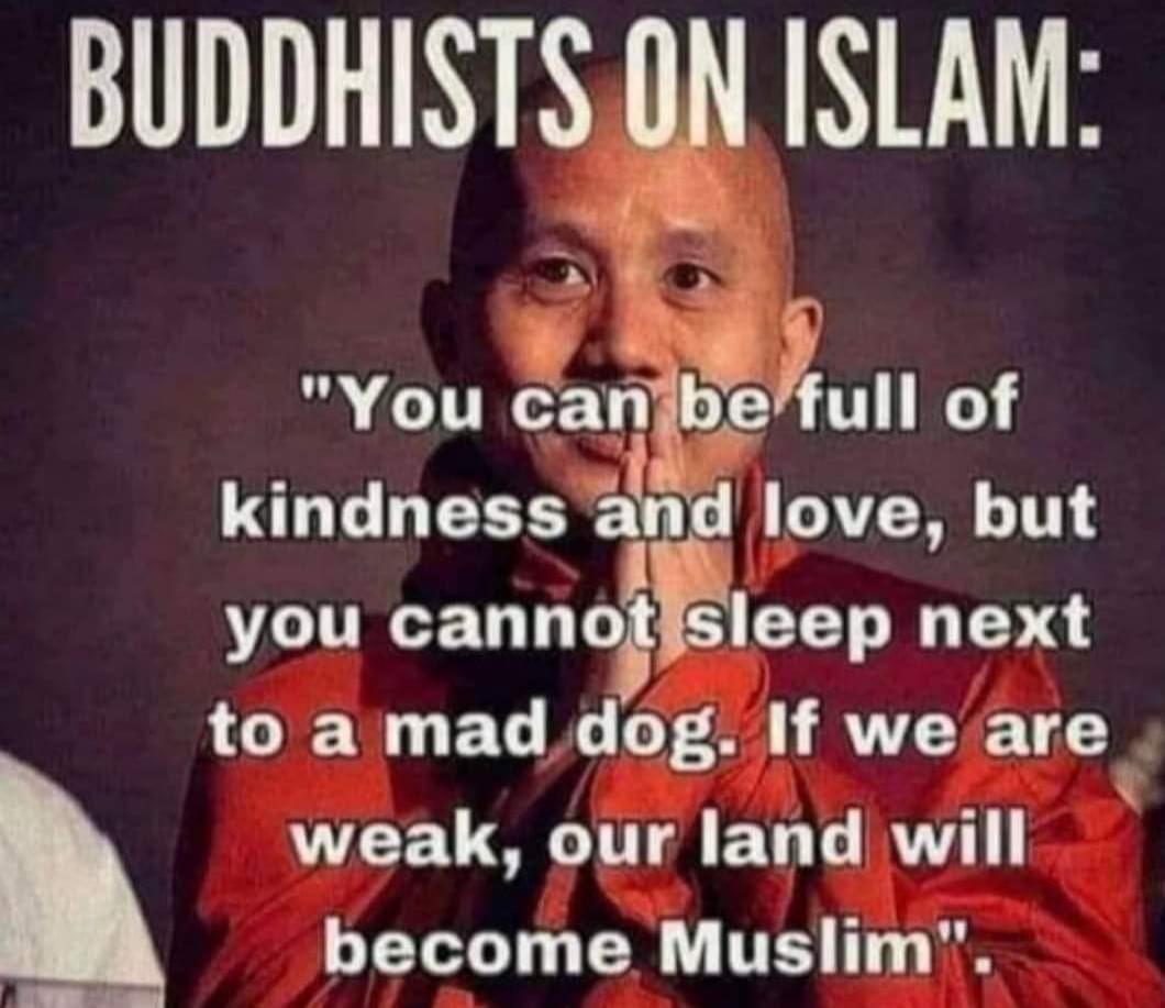Alissa4TheUSA's tweet photo. @realMaalouf https://t.co/u7RYYWGZx9