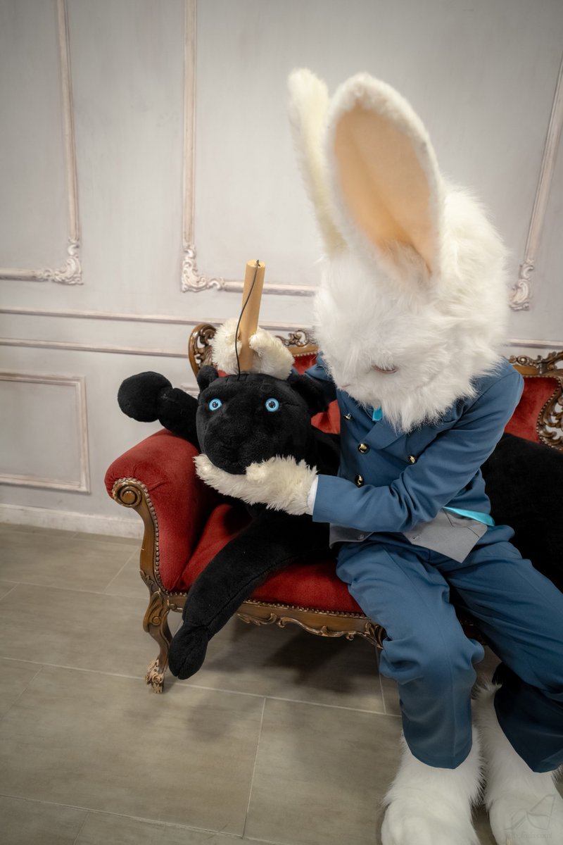 mizuna_rabbit's tweet photo. 先日撮影した #スタジオトルテ では、新しいお友達ができました🐰✨️
お友達、で　す　よ　ね？
#FursuitFriday
#CHOPS https://t.co/ulCQOgU6fe