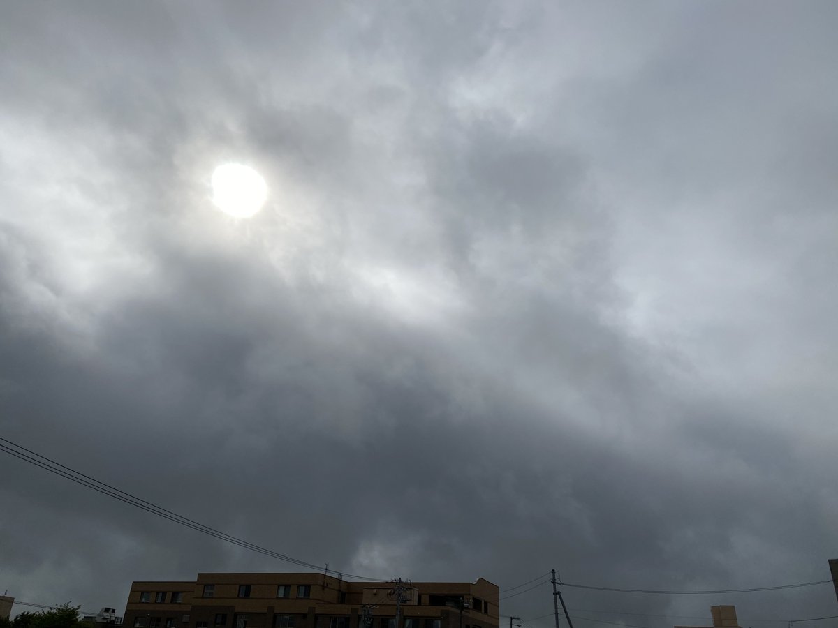 muumuuton's tweet photo. 雨あがり〜🌂おはよー💭です💭南風19℃ 本日の最高気温は21℃です〜 日曜日頃から夏が戻って来るらしい🏖️それまでは窓閉めて夏のオフトン掛けて寝られるのね🤭では!今日も1日元気にお過ごしくださいませ〜。。なっ朝♬ https://t.co/FKwNEenqEh