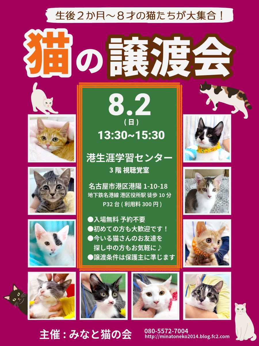 minatonekonokai's tweet photo. #拡散RPお願いします
【保護猫の譲渡会】
8/2(日)13:30-15:30
名古屋市港生涯学習センター

生後2ヶ月〜8歳まで可愛い猫が
40匹大集合！ 

リポストしていただくことで、届いてほしい誰かのもとへ情報が繋がります
広めてくださるそのお気持ちが、猫たちの救いになります🐾 

#猫好きさんと繋がりたい https://t.co/pC6kGQXmXw