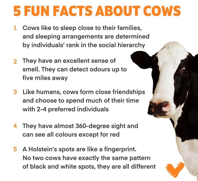 veganfuture's tweet photo. https://t.co/9HEn60zNgZ