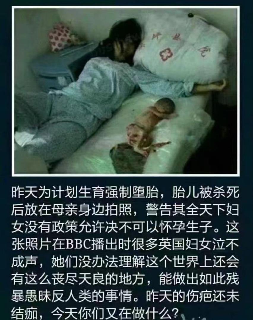 yyC1151792's tweet photo. @watchoutTW 台湾人民也可以过上中国人民的好日子了 https://t.co/JwCijpSChC