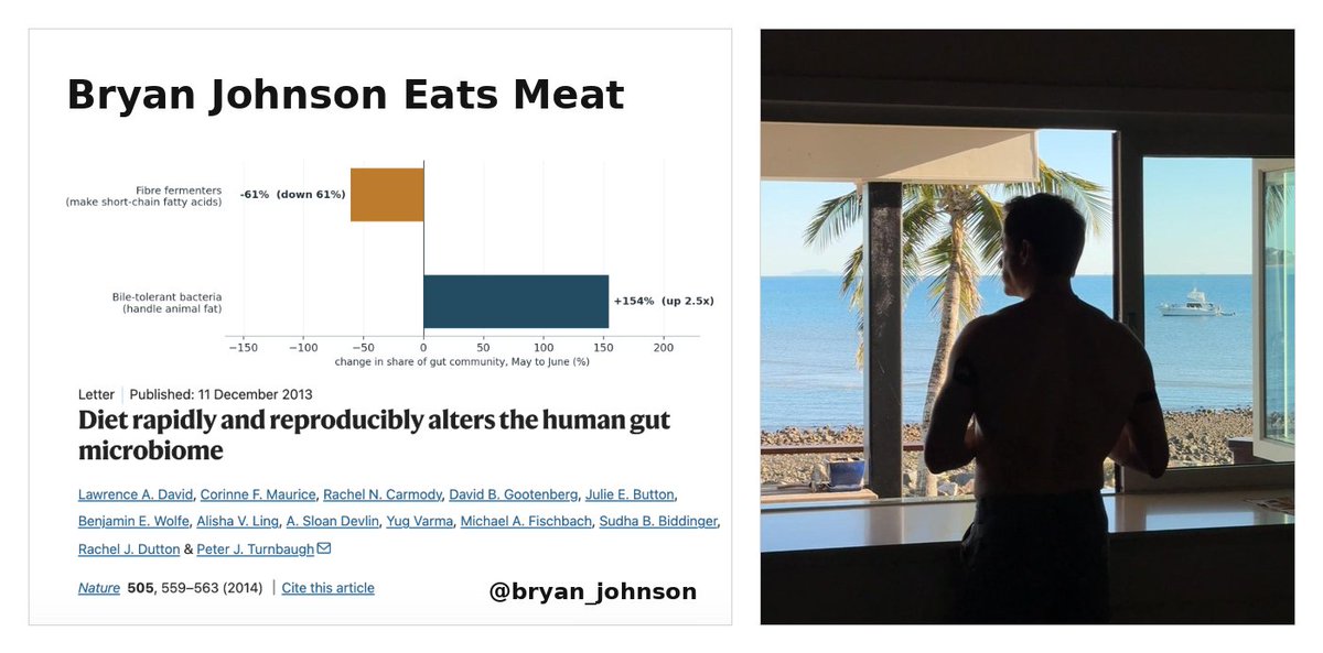 Bryan Johnson tweet media