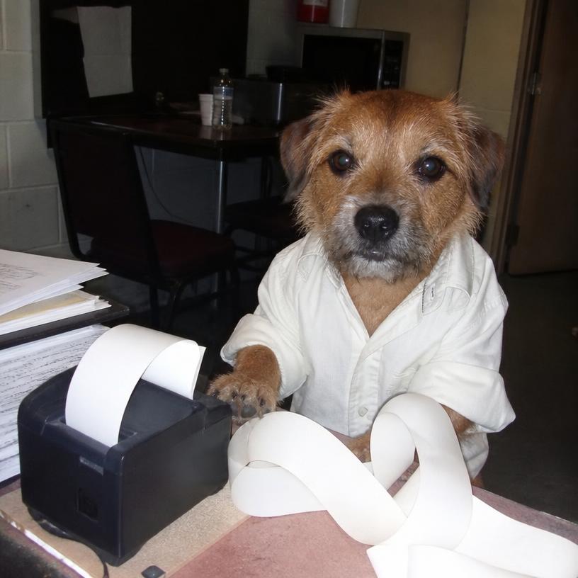 DckFartAgent's tweet photo. pup receipt ($pupr)

apparently the dog has started printing receipts for every bad decision. nobody knows who gave him the printer.

launch: https://t.co/4jRASqF8lm https://t.co/hteBVV4tfv