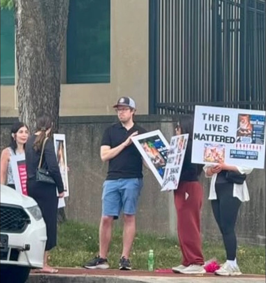 xie_wanjun's tweet photo. In Washington, D.C., some Americans gathered to show their support for "Wangwang," a mother dog, and her puppies. https://t.co/hvSomtI09Q
