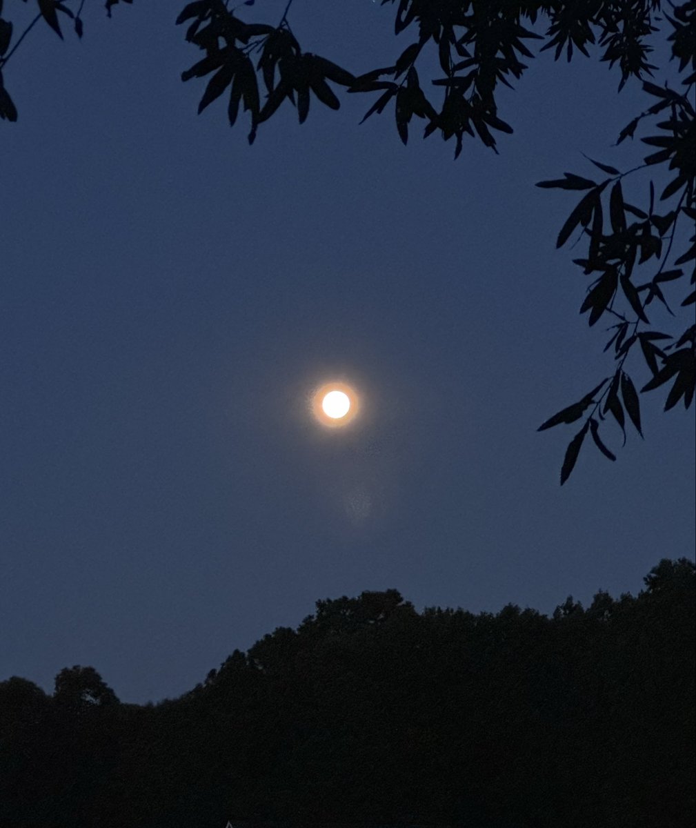 TheOtherLori's tweet photo. Fantastic 4 miles. Low humidity this time of year is rare & I enjoyed every second. Moon ending its shift while the sun was beginning & blackberries are turning. #runchat #chasingthesun #sunriserunner #nyctraining #foundontherun #miles4Mike https://t.co/O5xALCxYMs