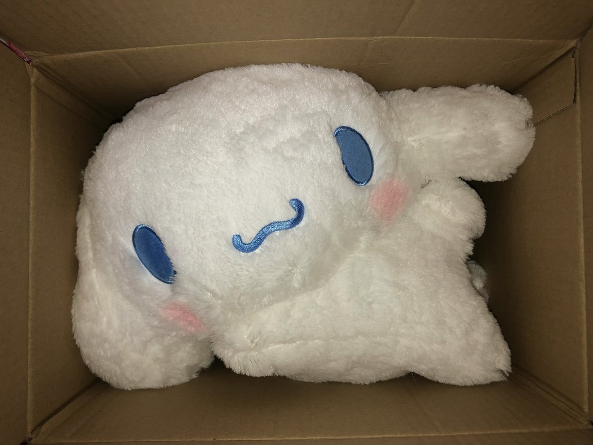 gungoioioi's tweet photo. 메루카리에서 손바닥만한 인형인줄알고 시킨건데……
너무 거대한 시나모롤이 와버림😂 https://t.co/VXvWdccv2X