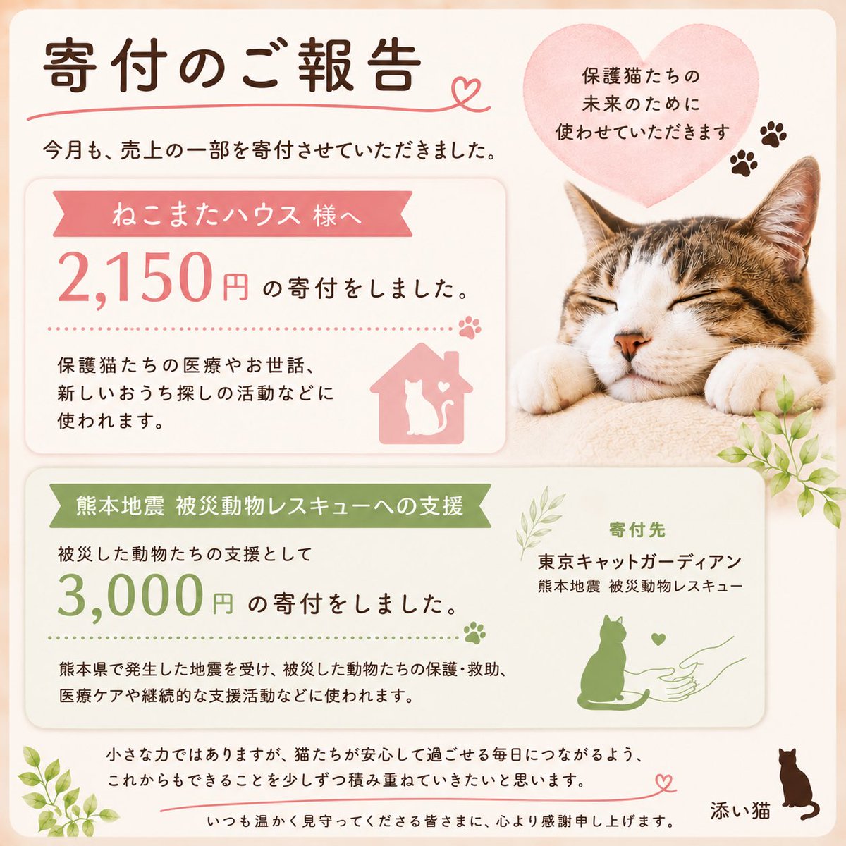 soineko_cat's tweet photo. このたびの熊本県で発生した地震により被災された皆さまへ、心よりお見舞い申し上げます。

今月は
🐾 ねこまたハウス様へ 2,150円
🐾 東京キャットガーディアン様「熊本地震 被災動物レスキュー」へ 3,000円 を寄付しました。

これからも、猫たちのためにできることを少しずつ続けていきます。 https://t.co/dYxeNP6o3x