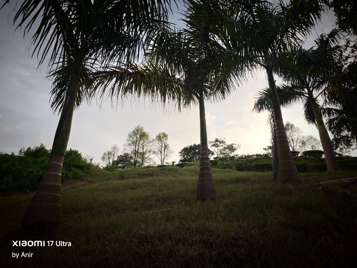 encoword's tweet photo. After long days, photos taken with Xiaomi 17 Ultra 🔥
The colors are beautiful 🥰 https://t.co/19KUCi6GUM