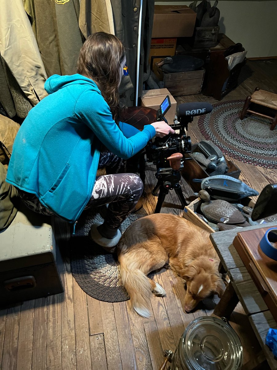 goodboymoviejp's tweet photo. 『GOOD BOY／グッド・ボーイ』絶賛上映中！
未公開のメイキング写真を公開です！
上映劇場もぐっと少なくなっております。ぜひ劇場でお見逃しなく、何卒よろしくお願いします♬ https://t.co/zEtmamtL1j