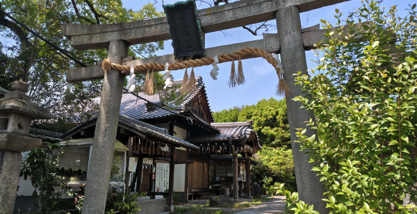 FreeLife_Colors's tweet photo. 京都市東山区にある神社。立派なクスノキが見られることに加え、素敵な御朱印もいただけるようです。

能発祥の地「新熊野神社」の可愛い御朱印！
https://t.co/Flcb3yOAfG
#京都市 #新熊野神社 #FreeLifeColors https://t.co/D7DujLaHJZ