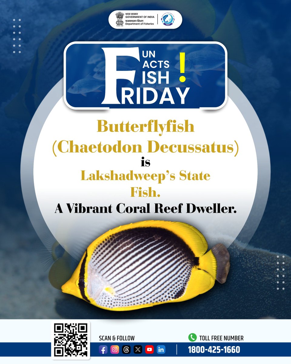 FisheriesGoI's tweet photo. 🐠 Fun Facts Friday!
Did you know? The Butterflyfish (Chaetodon decussatus) is the State Fish of Lakshadweep. Known for its striking colors and graceful movements, this vibrant coral reef dweller plays an important role in maintaining healthy reef ecosystems.

🌊 Let’s celebrate and protect our rich marine biodiversity!