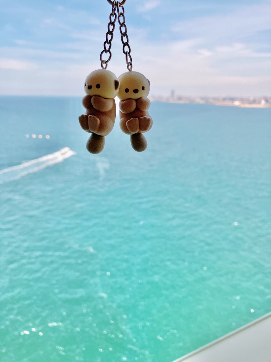 penponDASH's tweet photo. フロッキーのなかよしラッコちゃんストラップ🦦🦦ꕀ https://t.co/xu0VxUTurd