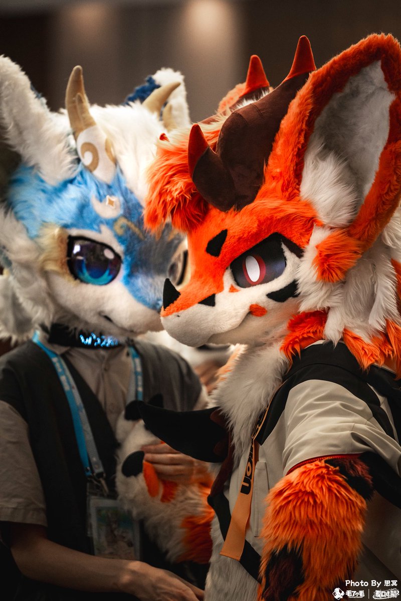 NaiceNya's tweet photo. #FursuitFriday

看什么，下一个就到你了哦～

📷：@Aigis632 https://t.co/n67BO4K5om