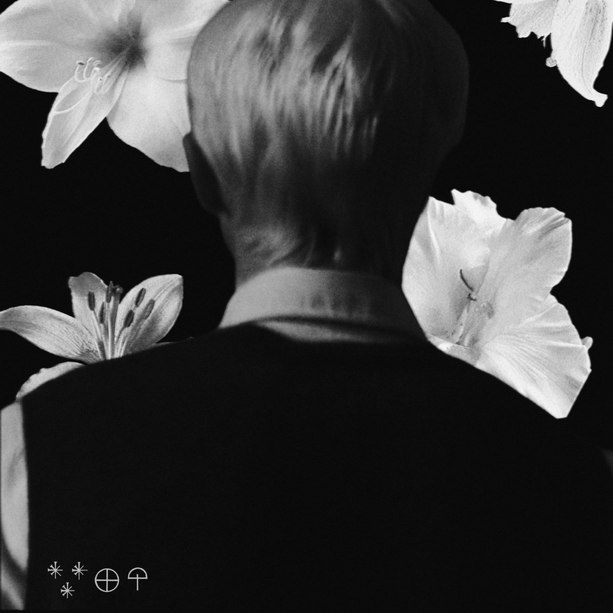 MLFANT4ONE's tweet photo. https://t.co/GMf4mrgIJj