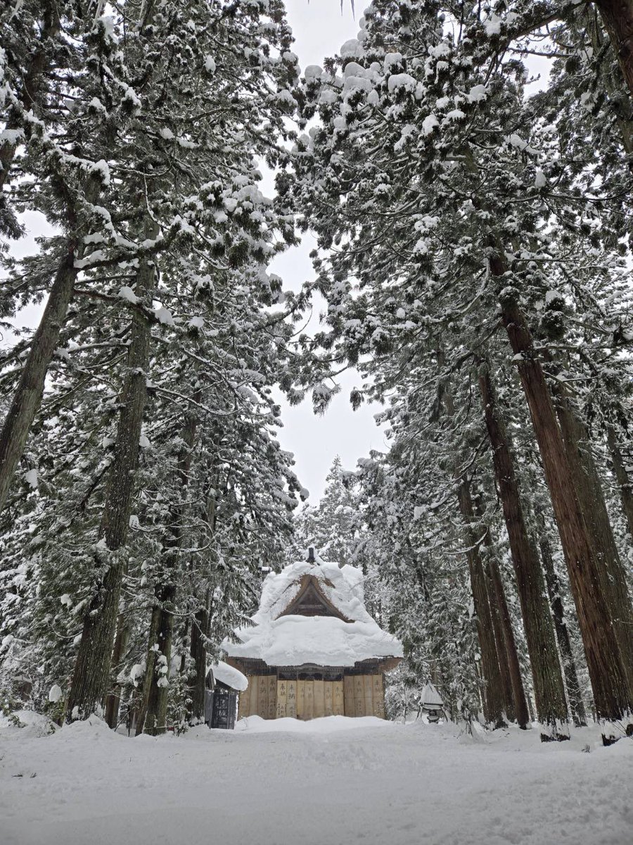 kanae555's tweet photo. 新潟県十日町に密やかに佇む神宮寺さんと
杉の木たち
雪の重みで折れた枝から丁寧に抽出された精油で作られた
アロマオイルとスプレー
浄化される！との思いで使っているのですが
心を持っていかれ過ぎないようにとの意味合いも感じている
今日この頃です

#リリーガーデン 
https://t.co/8YzsXeUHT0 https://t.co/N74bPGm9K6