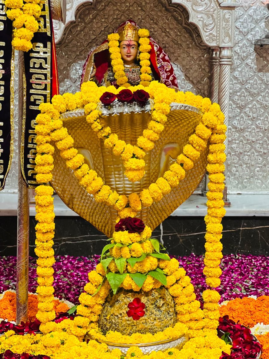 BabaBadevranath's tweet photo. याम्ये सदङ्गे नगरेऽतिरम्ये विभूषिताङ्गं विविधैश्च भोगैः।
सद्भक्तिमुक्तिप्रदमिशमेकं श्रीनागनाथं शरणं प्रपद्ये॥ https://t.co/aI9yriVjls