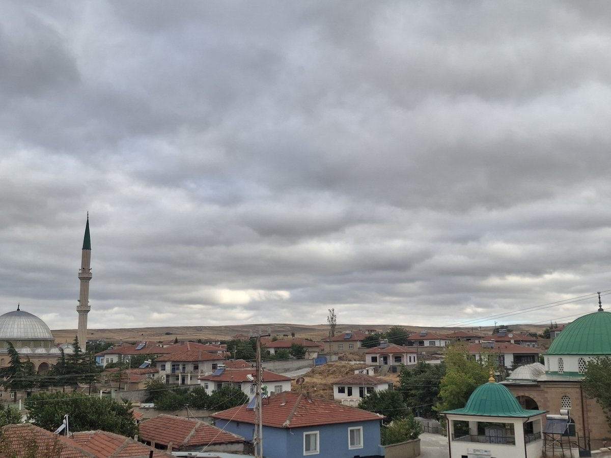 asiden_81's tweet photo. Rojbaş https://t.co/lRpcuX4G7Z