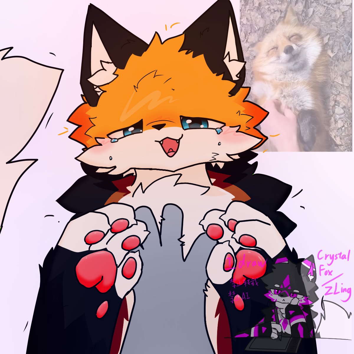 LingFox_CN's tweet photo. pet fox, happy fox=w= https://t.co/L1euhpaEMD