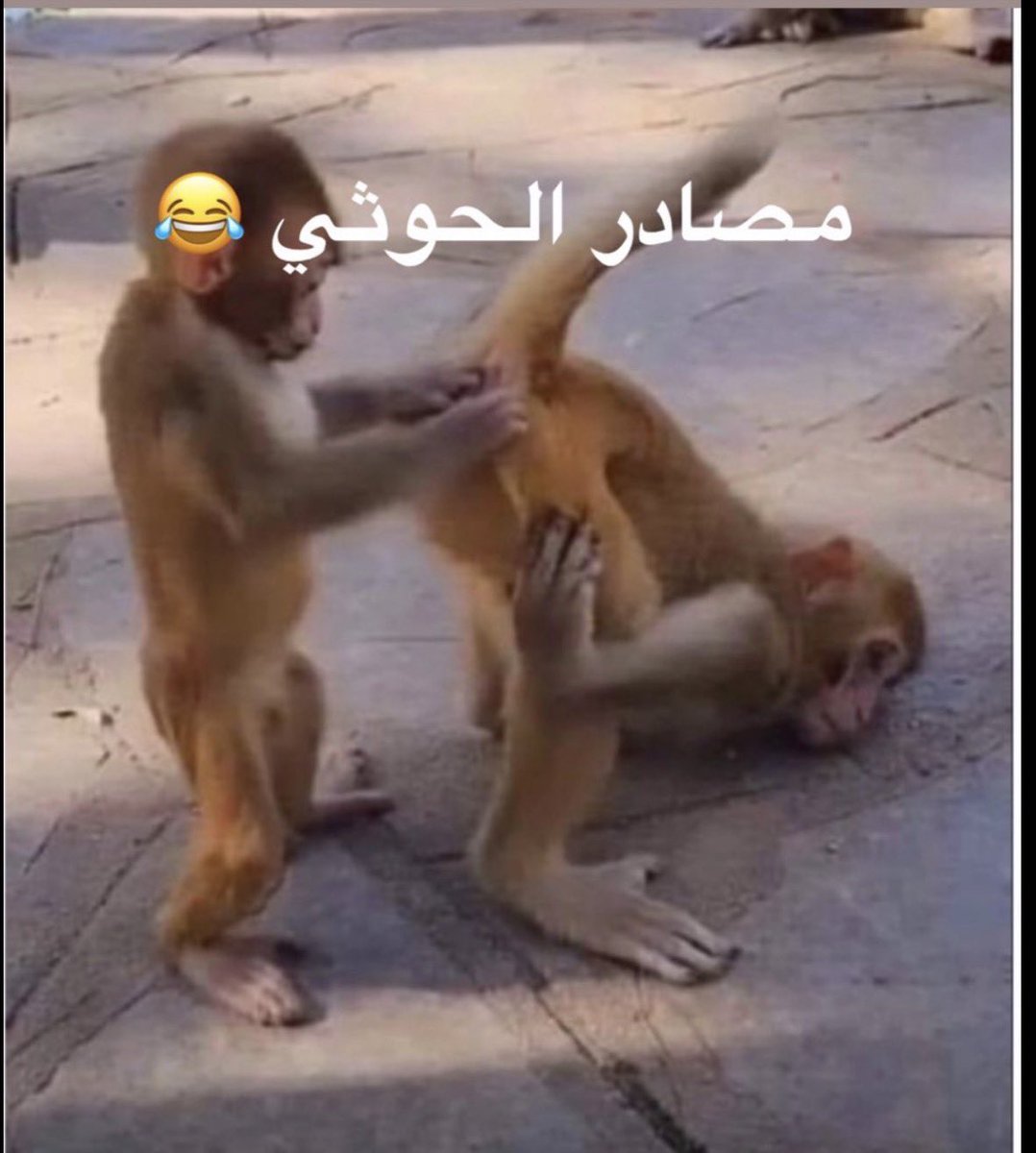 ZarbanMohammad's tweet photo. @Abu_Bashir25 https://t.co/5x0aIkQ8ub