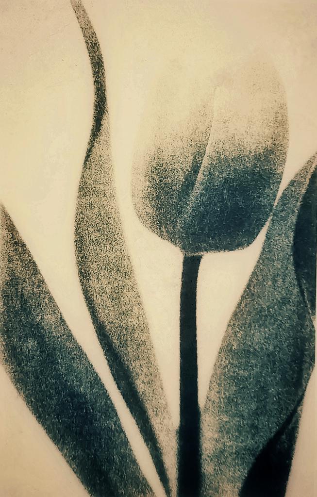 artlimitednet's tweet photo. Touching by Clive Vincent https://t.co/b2BRMjyg74
#blackandwhite #film #lithprint #blackandwhitephoto #blackwhite #35mm #bnwphotos #macro #plant #nature #filmphotographic #thefilmstead #photography #bnw_oftheworld #ilford #ilfordphoto #35mmm #24x36 #analogue #analogphotography… https://t.co/uAdNbVdid5