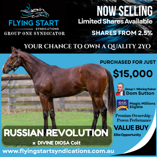 Ourhorsesfly's tweet photo. Finding quality at the right price is what Flying Start is all about. Purchased for just $15,000, this Magic Millions eligible Russian Revolution colt is with Group 1-winning trainer Dom Sutton. @suttonracingdom  @mmsnippets  Learn more: https://t.co/jHMFwBG8Ul https://t.co/WPhEu6ZG0v