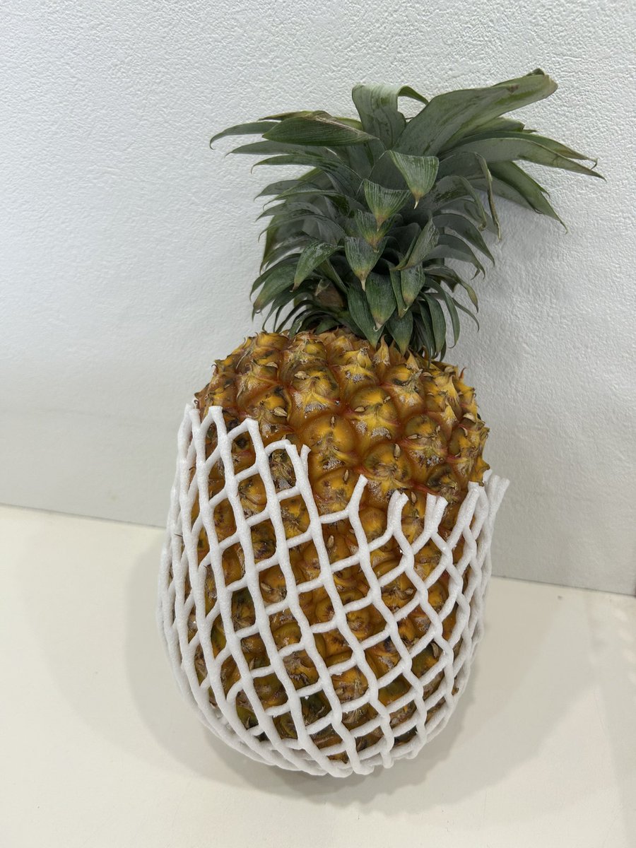 Sn621M216's tweet photo. メンバーさんがみんなで食べなって今朝くれた🍍
でも、私はアレルギー💦 https://t.co/w3fDkuwr4v