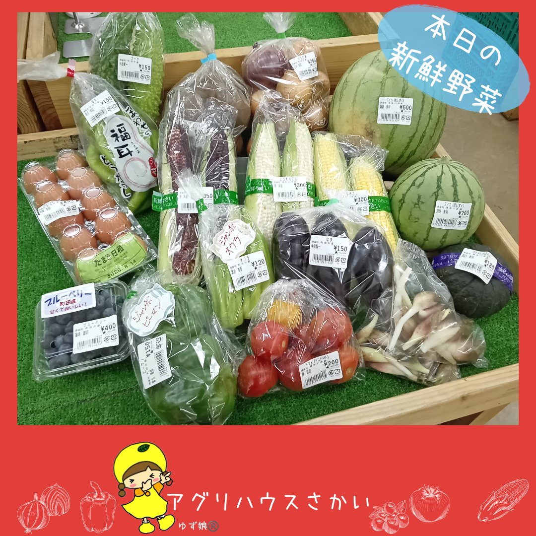 JAmachidashi's tweet photo. 【アグリハウスさかい】
おはようございます、ゆず娘です😊
今日も新鮮野菜がたくさん入ったよ🎶
ゆず娘のオススメは赤･白･黄色のとうもろこし🌽
スイカ🍉やその他にもいろんな夏野菜があるよ😄
今週は土曜日も営業してるからぜひ来てね～❤
土曜日の営業時間は９時半から15時だよ☀

#JA　#町田市 https://t.co/4AbsiXkfiQ