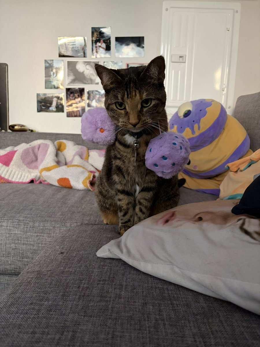 slirneboy's tweet photo. MY SHAYLA 😭😭 https://t.co/iADf5tZHOt