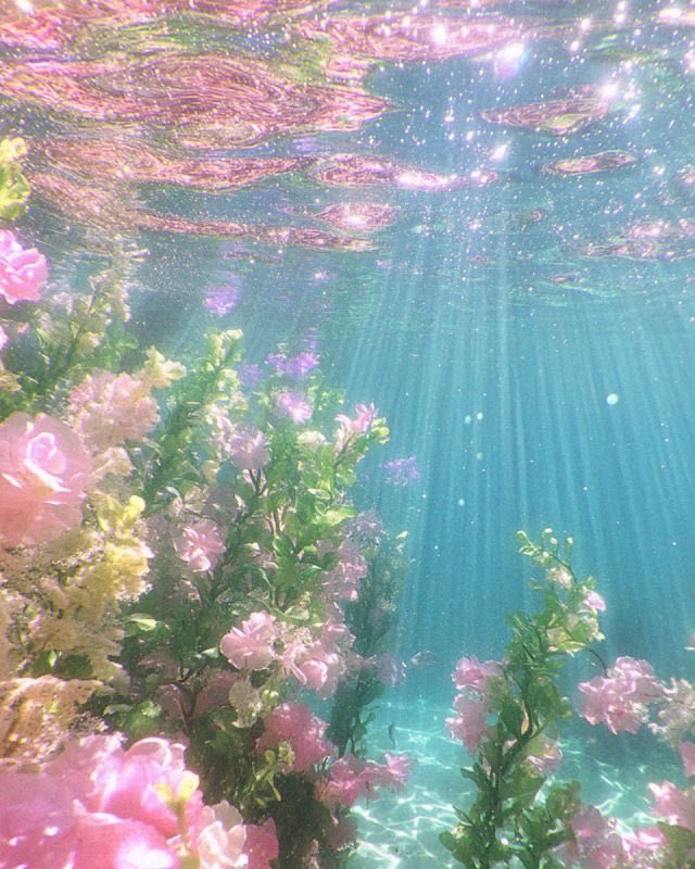 calmlivng's tweet photo. 🧜🏼‍♀️🐚🪸 https://t.co/9oIn1PvucD